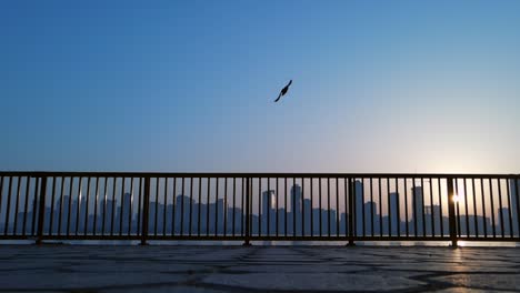 Silhouette:-Slow-Motion-Shot-of-a-Flying-Pigeon,-city-skyline-in-the-background-in-Sharjah,-United-Arab-Emirates