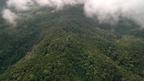 Luftaufnahmen-Von-Tropischem-Regenwald-Und-Vorbeiziehenden-Wolken