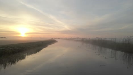Dutch-nature-with-birds-living-around-creek-during-sunrise,-rural-morning