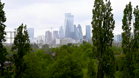 Der-Blick-Auf-Die-Londoner-Stadt-Vom-ökologischen-Park-Stave-Hill