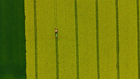 Top-View-Of-Tracks-Of-A-Farm-Tractor-At-Rapeseed-Field-In-Lubawa,-Poland