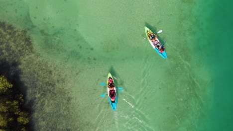 Tracking-shot-of-people-kayaking-in-Al-Reem-mangroves