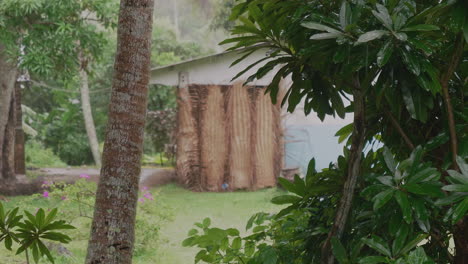 View-of-small-hut-through-trees-during-tropical-rain,-Isle-of-Pines