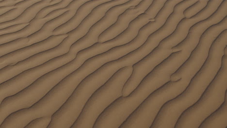 Wave-pattern-on-the-surface-of-desert-dune