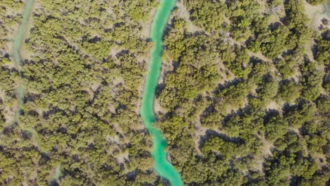 Aerial-birds-eyes-descending-on-turquoise-watercourse-of-Al-Reem-mangrove