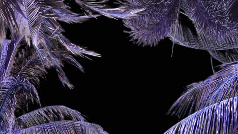 A-frame-of-palm-leaves-blowing-in-the-wind-with-purple-boughs-and-a-black-background-to-use-as-a-layer-or-for-copy-space