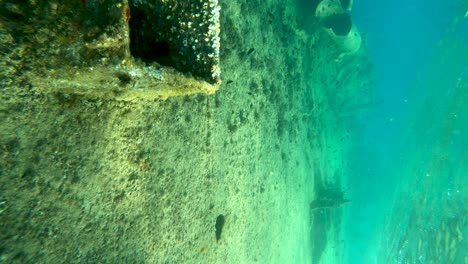 Diving-along-sunken-boat,-shipwreck,-shallow-waters