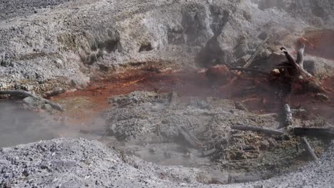 Black-Pit-Spring-in-Yellowstone