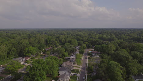 Overhead-view-of-suburban-neighborhood-in-Ladue-in-St