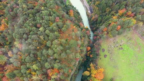 Beautiful-canyon-river-in-autumn-forest,-top-view