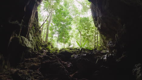 Rising-pedestal-shot-revealing-jungle-vegetation-outside-cave-opening