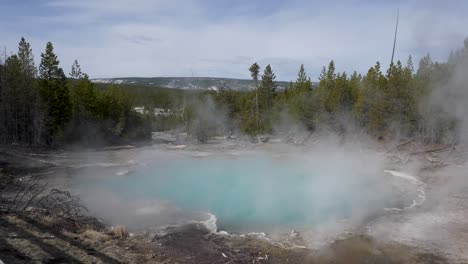 Emerald-Spring,-Norris-Geyser-Basin,-Yellowstone