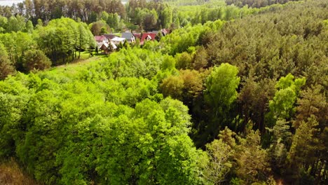 Bright-Green-Thicket-Foliage-With-Idyllic-Village-In-Styporc,-Chojnice-County,-Pomeranian-Voivodeship,-In-Northern-Poland