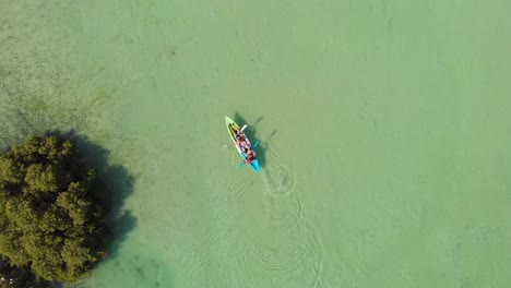 Aerial-birds-eye-tracking-shot-of-kayakers