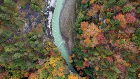 Epischer-Luftflug-über-Nebelwald-Bunte-Herbstbäume-Und-Schöner-Blauer-Canyon-Fluss-Im-Herbstwald,-Draufsicht