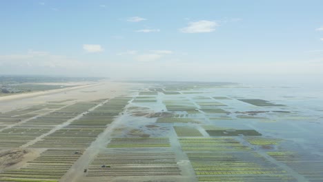 Meeresfrüchte-Austernfarm-In-Der-Nähe-Von-Cap-Frehel-Und-Cotentin-In-Der-Normandie,-Frankreich