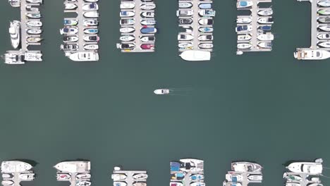 Aerial-view-following-a-small-boat,-driving-between-sailboats-and-yachts,-at-the-Dana-point-Harbor---top-down,-drone-shot