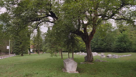 Ein-Altes-Grab-Unter-Einem-Alten-Baum-Auf-Dem-Friedhof-Von-Mramorje,-Serbien