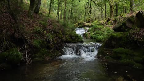 small-stream-on-a-forest-shot-on-a-gimbal