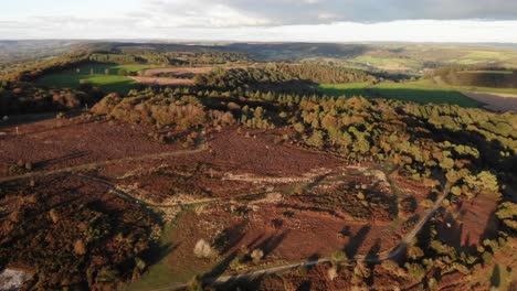 Aerial-shot-descending-over-an-area-of-deforestation-in-British-nature