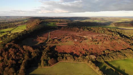 Aerial-shot-over-Fire-Beacon-Hill-nature-reserve-in-Devon,-England-at-sunset