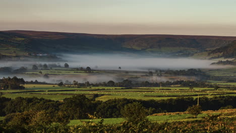 North-York-Moors-Danby-Dale-Time-Lapse-withy-sheep-grazing-and-mist-on-the-gound,-evaporating-in-the-early-morning-sun