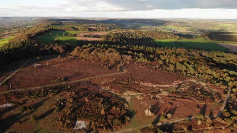 Aerial-landscape-shot-of-an-area-of-deforestation-in-British-nature