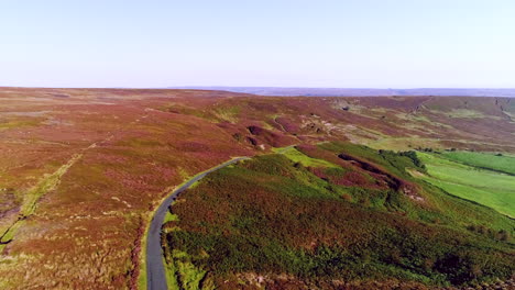 North-York-Moors-Heather-at-Danby-Dale---Aerial-Drone-Footage-of-heather-in-full-bloom-in-Summer---Clip-6