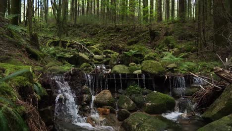 Schöner-Natürlicher-Fluss-Mitten-Im-Wald