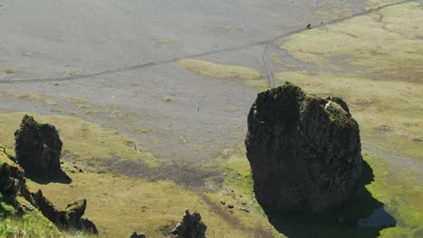 Seabirds-and-massive-rocks-on-the-black-sand-beach-of-Dyrholaey-South-Coast,-Iceland