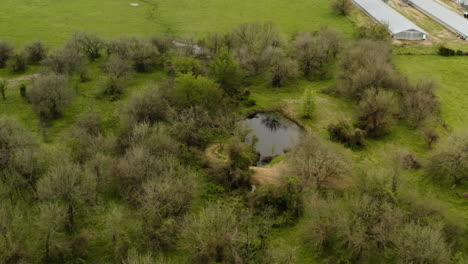 Farmland-in-Southern-United-States-Landscape---Aerial