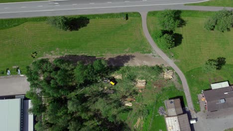 Top-Down-View-Cutting-Down-Trees-at-Construction-Site,-Aerial
