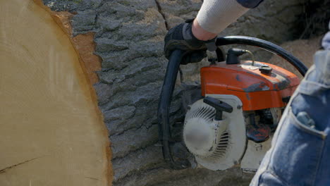 Closeup-on-a-chainsaw-being-used-to-cut-a-slice-through-a-large-tree-trunk