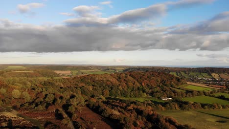 Aerial-Over-Rural-Countryside-Trees-In-Fire-Beacon-Hill-In-Devon