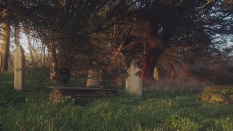 Scenery-Of-Old-Graveyard-Surrounded-By-Forest-During-Sundown