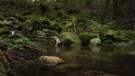 natural-river-stream-shot-on-a-gimbal