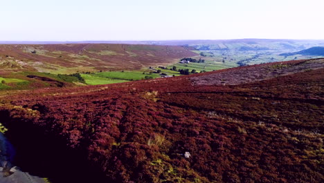 North-York-Moors-Heather-at-Danby-Dale---Aerial-Drone-Footage-of-heather-in-full-bloom-in-Summer---Clip-5