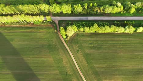 Agriculture-fields-and-countryside-road-in-top-down-aerial-view