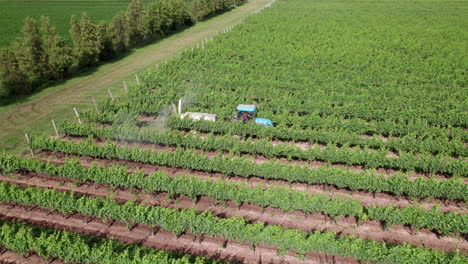 Tractor-Con-Pulverizador-Agrícola-Rociando-Pesticida-Químico-En-El-Campo-De-La-Viña
