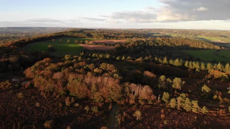 Long-and-slow-aerial-shot-flying-over-a-beautiful-nature-reserve-in-Britain