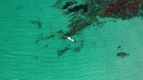 Birdseye-drone-aerial-view,-female-on-standup-paddle-board-in-clear-shallow-tropical-sea-water-and-lagoon,-top-down-view