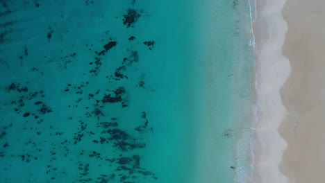 Top-down-drone-aerial-view-of-white-sand-beach-and-turquoise-tropical-sea-waves