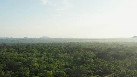 Hazy-sunrise-above-Yala-National-Park-with-steam-rising-from-jungle