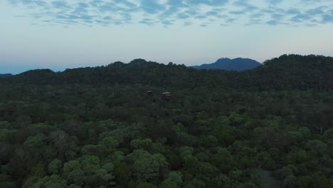 Flying-towards-hidden-safari-lodge-tree-house-in-deep-jungle-of-Sri-Lanka
