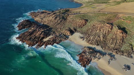 Aerial-View,-Pristine-Injidup-Beach-and-Picturesque-Coastline-of-West-Australia-on-Sunny-Day,-Tilt-Up-Drone-Shot