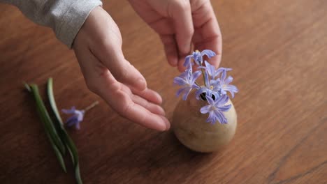 Female-hands-puts-small,-spring-flowers-to-tiny,-ceramic-vase,-top-view