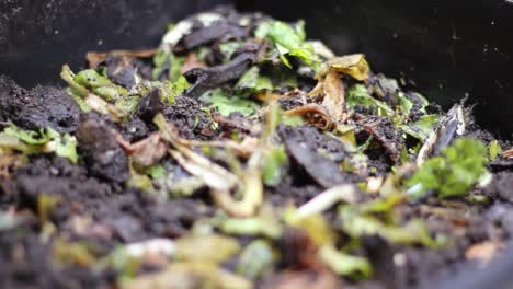 Close-up-of-compost-waste,-macro-lense,-shallow-depth-of-field