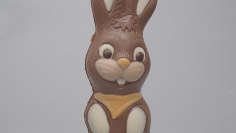 tilt-down-of-chocolate-Easter-bunny-against-a-white-background