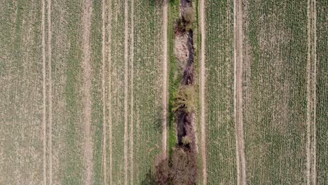 Aerial-view-over-a-small-stream-with-fields-next-to-it
