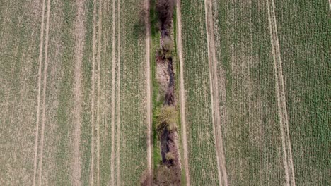 Reverse-drone-flight-Aerial-view-over-a-small-stream-with-fields-next-to-it
